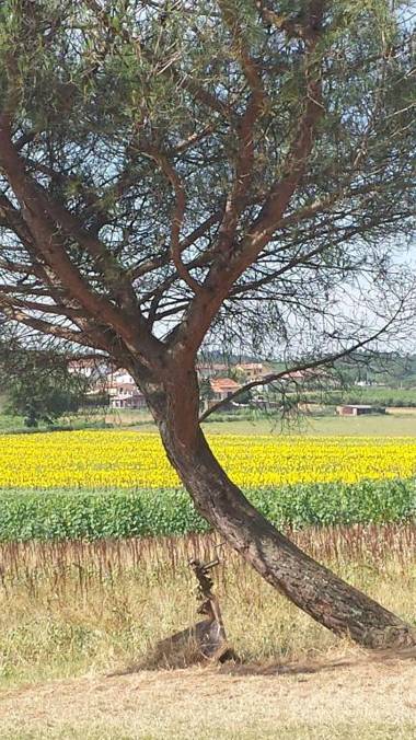 Agriturismo Le Baccane