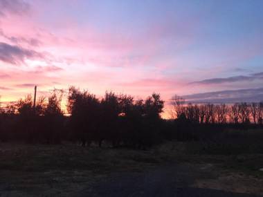 Agriturismo La Casina nel Vigneto