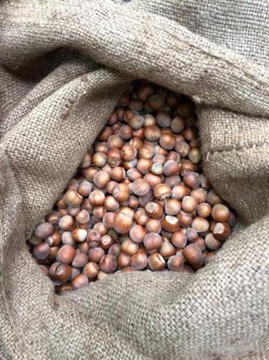 Agriturismo Don Cesarino