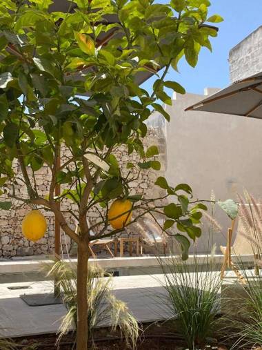 Tre Bacili - L'ospitalità in Dimora