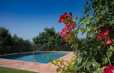 Villa Tinaia your next holiday with private pool