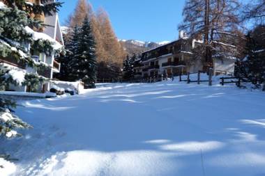 House Driade by Holiday World