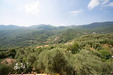 Il Nido Delle Rondini