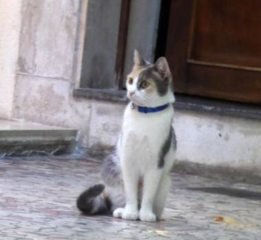 Hotel Casa Boccassini