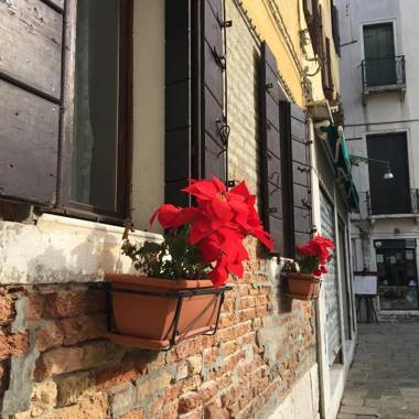 Home Lovers NEW Property 2022