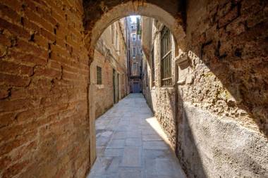 The Lion's House APT3