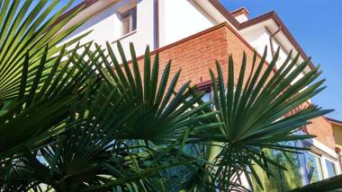 Dream Venice Airport