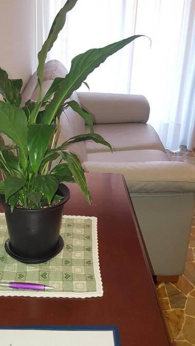 Il Duca  Nice House close to Venice