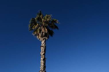 Villa Veria - Private Swimming Pool