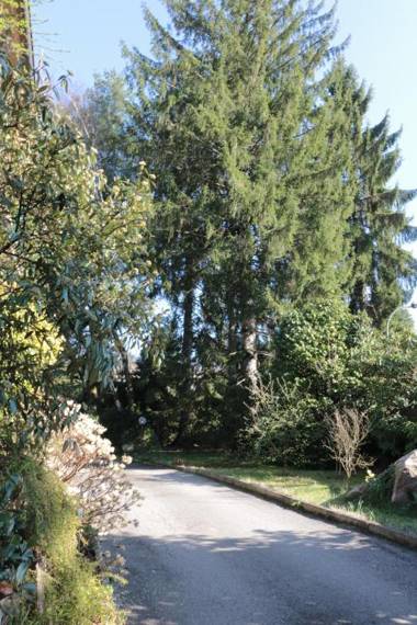 Paradeisos Residence Sas