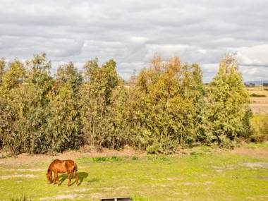 Rustic Villa in Santa Giusta with Garden