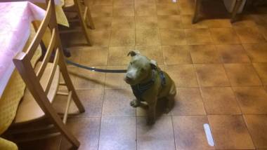 Antico Albergo Sant'Antonio