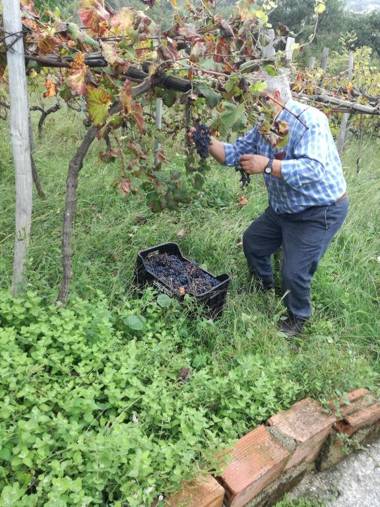 Albergo Diffuso Borgo Dei Greci
