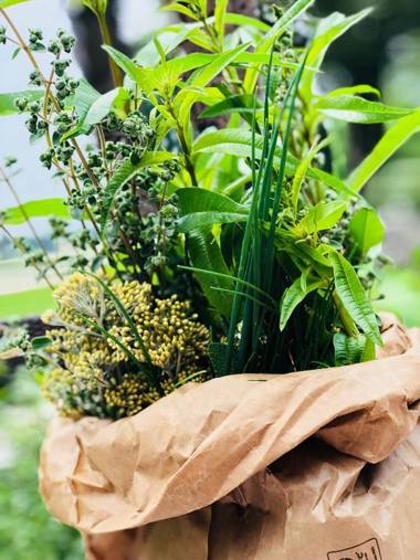 Agriturismo Le Fornase