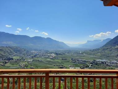 Unterötzbauerhof - Fewo Weinberg