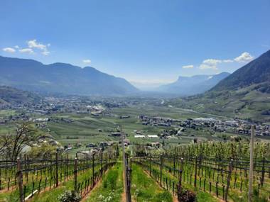 Unterötzbauerhof - Fewo Weinberg