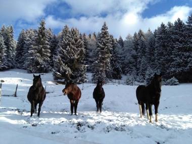 Agriturismo Valsaviore