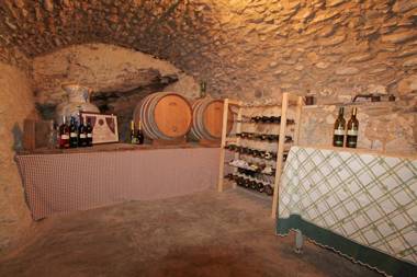 Margherita Among Vineyard