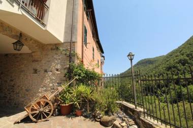 Margherita Among Vineyard