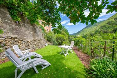 Glicine among vineyard