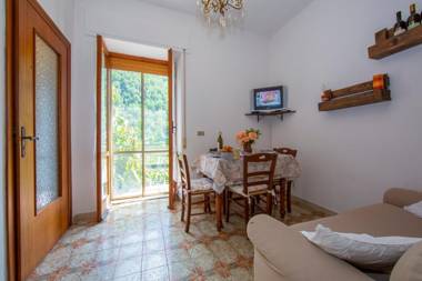 Glicine among vineyard