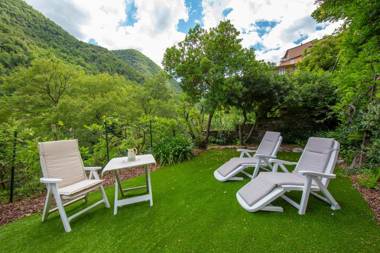 Geraneo among vineyard