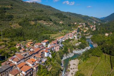 Geraneo among vineyard
