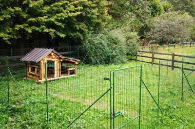Serene Chalet in Antey-Saint-André near Ski Area