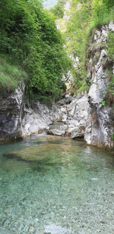 ERVE COME UNA VOLTA Casa Vacanza