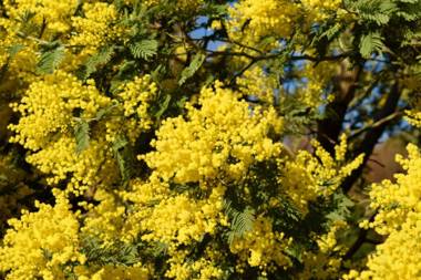 Casa Carpe Diem A VILLA BARCA