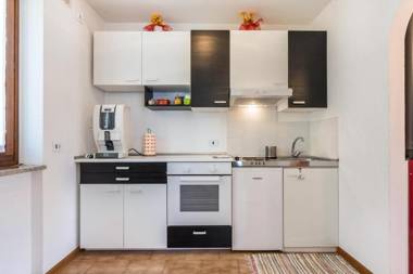 Ciclamino Standard Vittoria