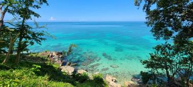 Wilton House Oceanview Cabin