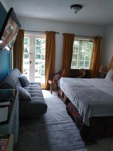 018 mystic ridge ocho rios