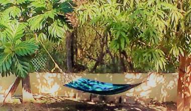 Annie's White House on The Hill