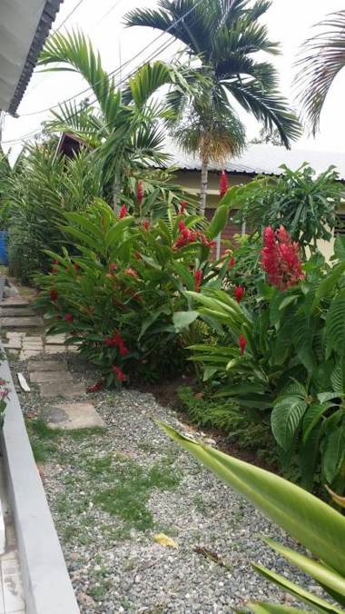 The Quiet Escape Loft