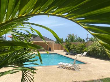 Cool Shade Garden