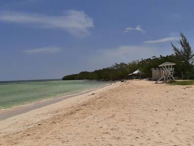 Dancehall Hostel Cottage