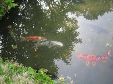 Japanese Style Inn Dohzen Miwa