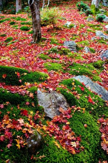 Uji Cha-gan-ju-tei House