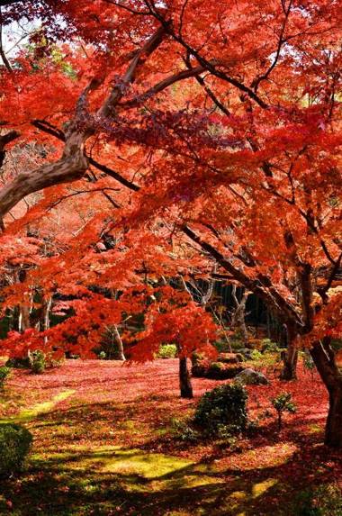 Uji Cha-gan-ju-tei House