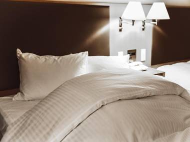 Oarks Canal Park Hotel Toyama