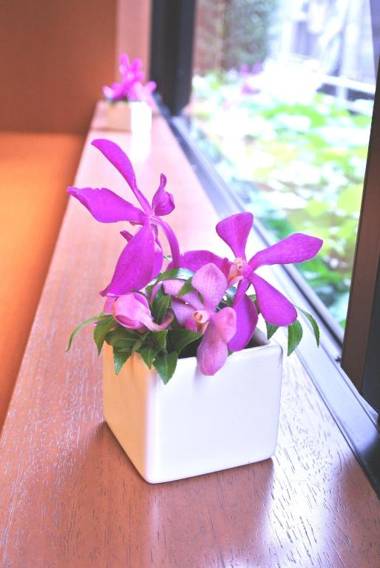 Almont Inn Tokyo Nihonbashi