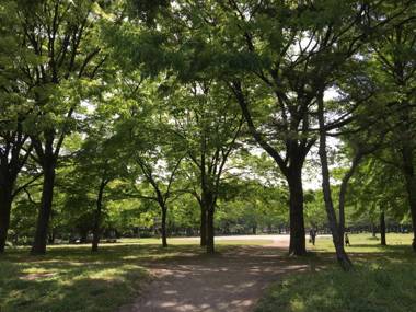 The Share Hotels Lyuro Tokyo Kiyosumi