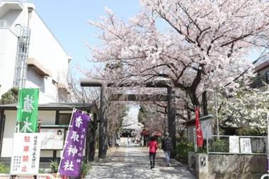 Tokyo Sakura Apartment
