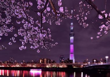Rainbow Village Ueno