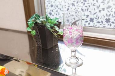 Shinjuku Central Apartment 203