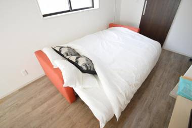 Roppongi Cat House601