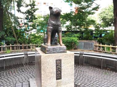 H2O Stay Shibuya Anon #A203