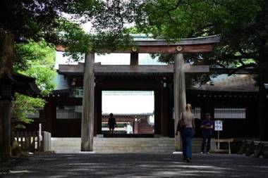 エバーグリーン新宿 リュクス 2m13