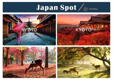 nestay inn tokyo kagurazaka 02